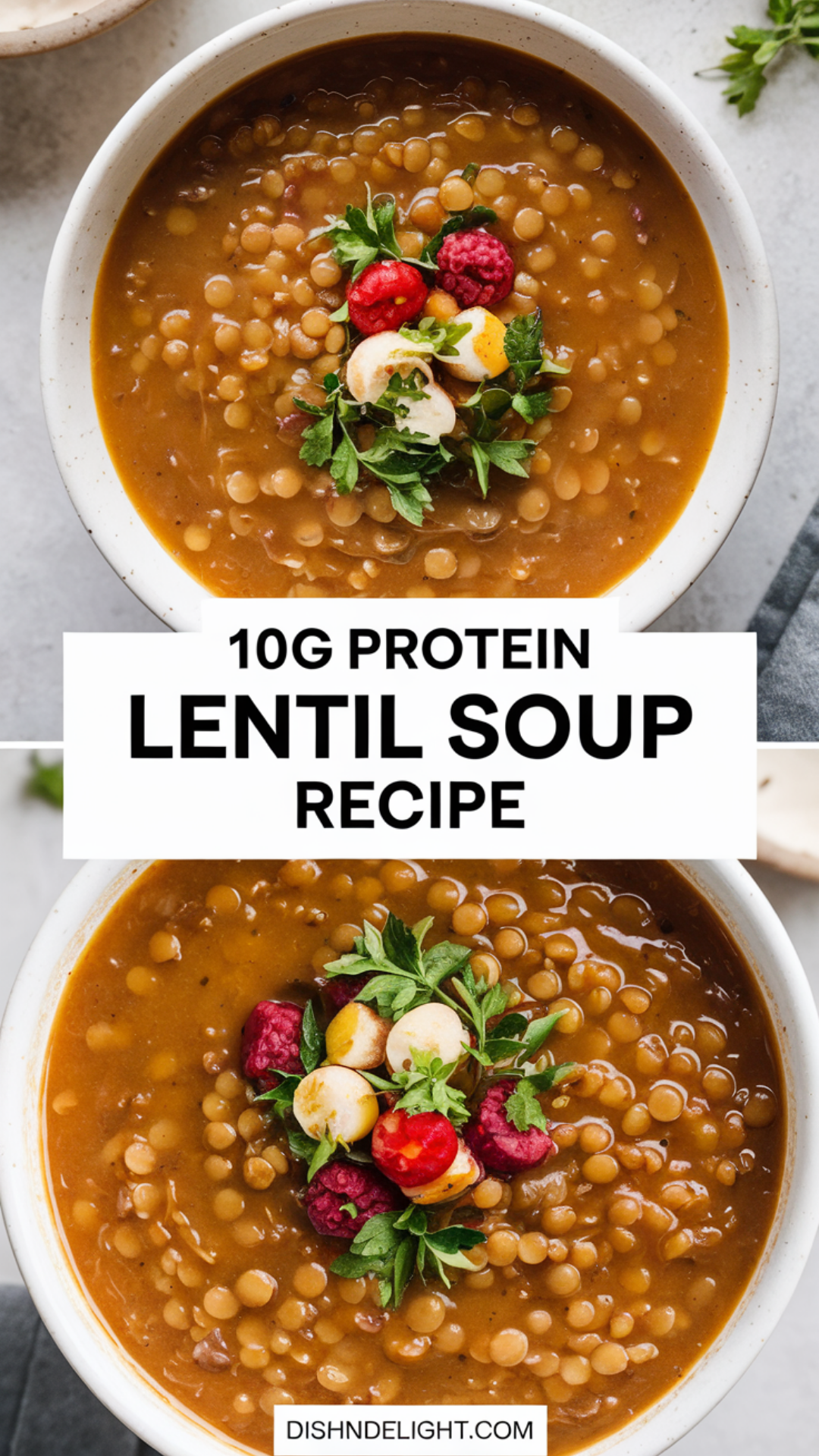 10g Protein Lentil Soup Recipe 10g Protein Lentil Soup Recipe