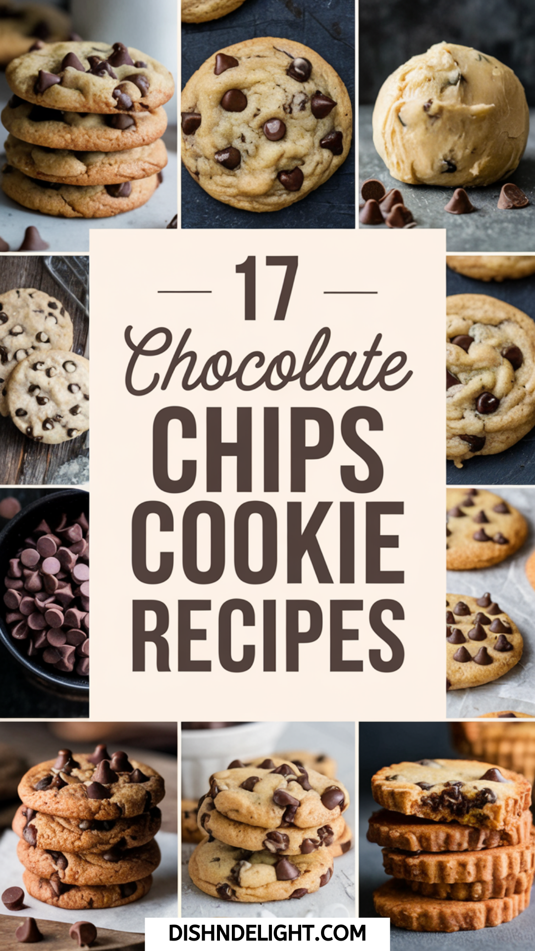 17 Chocolate Chips