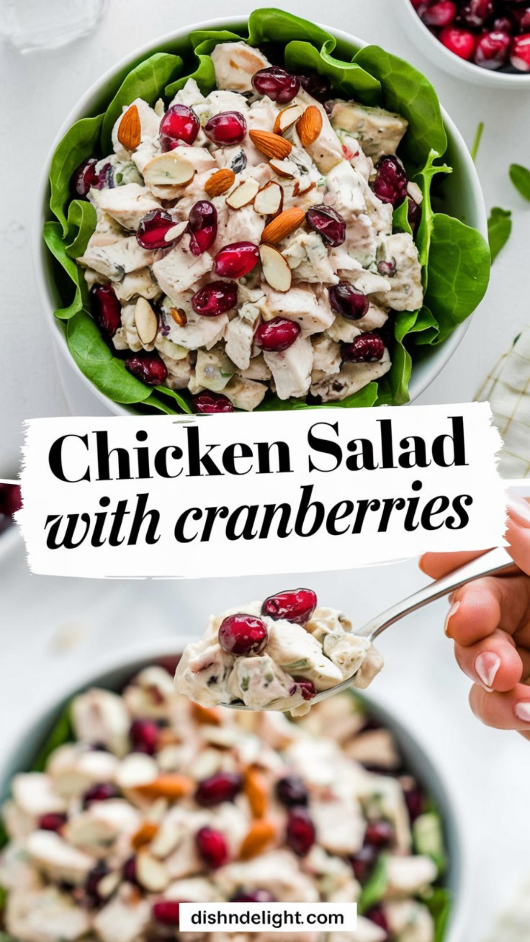 Chicken Salad with Cranberries Recipe