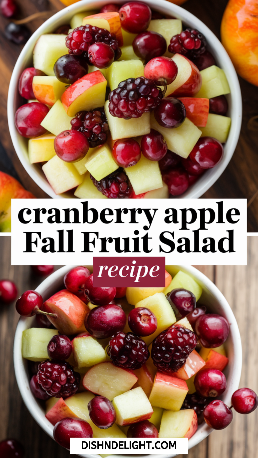 Cranberry Apple Fall Fruit Salad Recipe Cranberry Apple Fall Fruit Salad Recipe