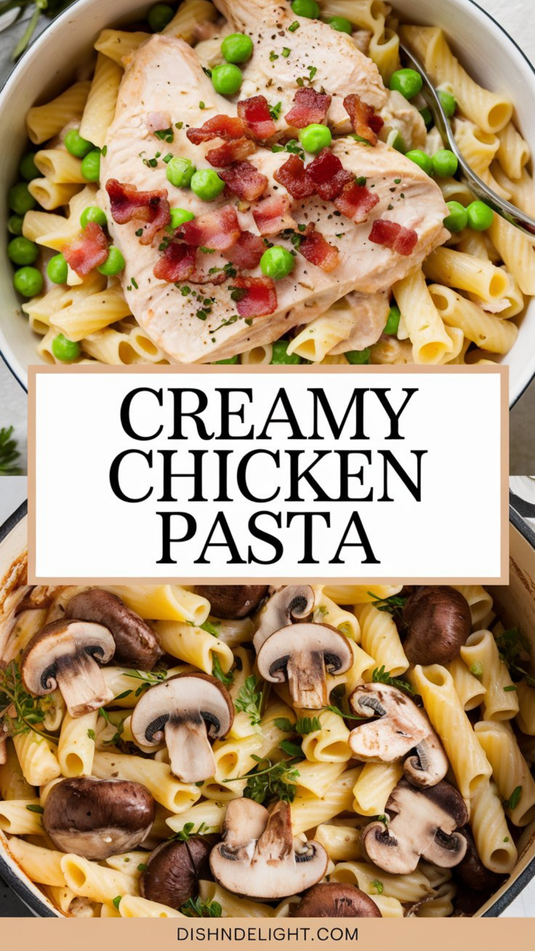 Creamy Chicken Pasta Recipe