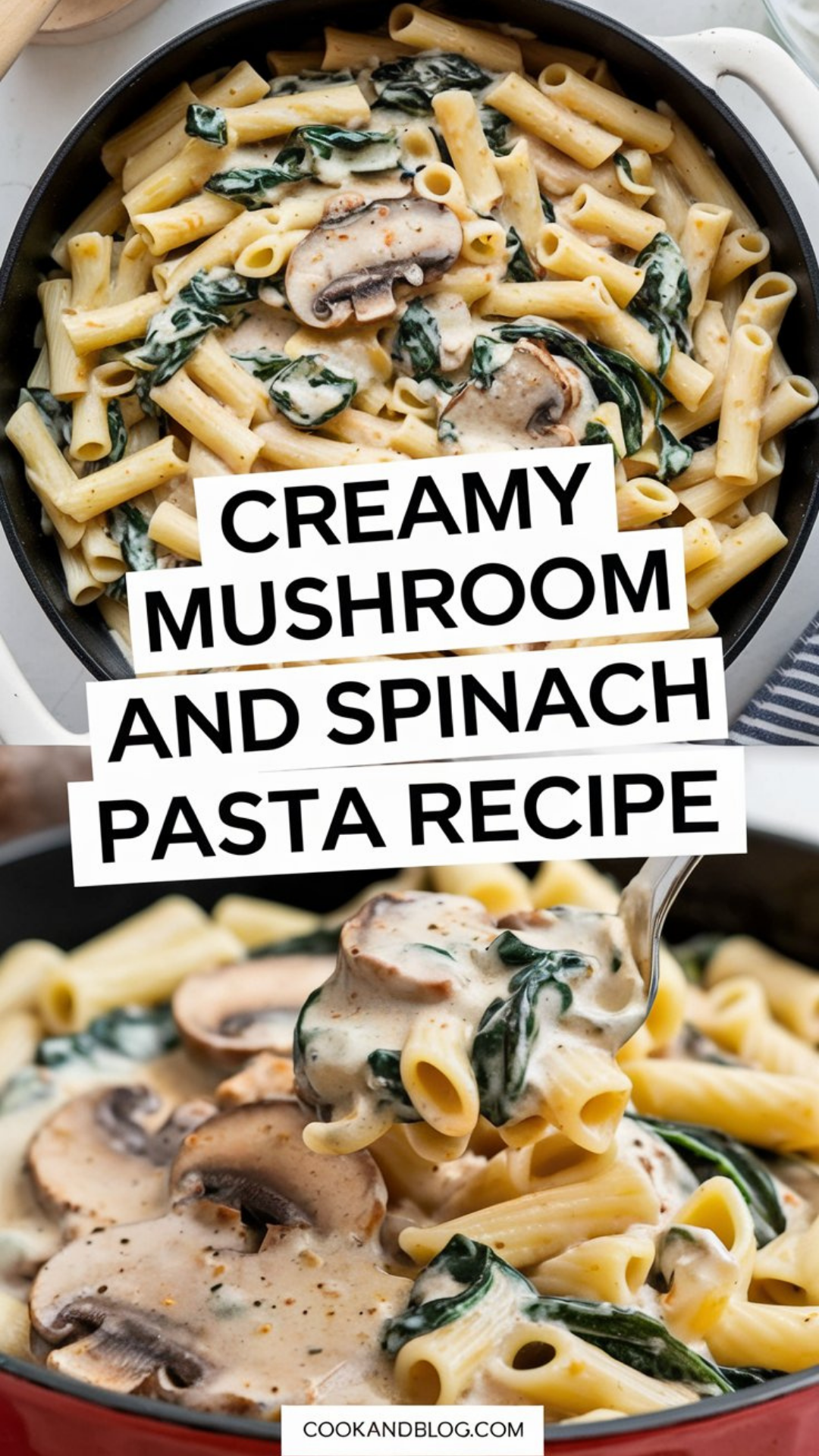 Creamy Mushroom Pasta Recipe Creamy Mushroom Pasta Recipe