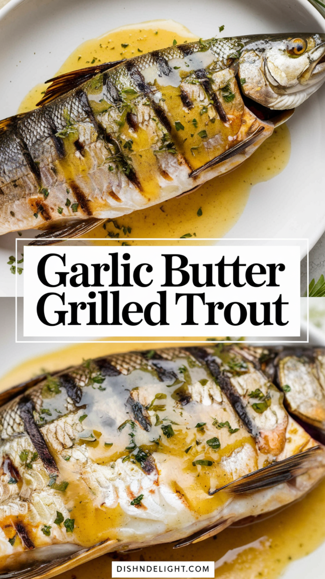 Garlic Butter Grilled Trout Recipe Garlic Butter Grilled Trout Recipe