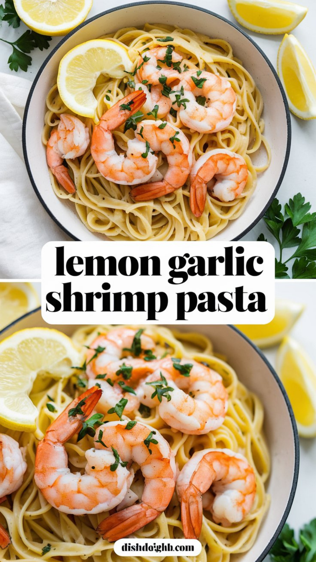 Lemon Garlic Shrimp Pasta Recipe