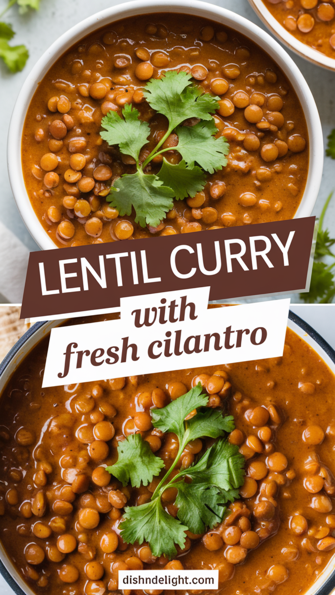 Lentil Curry with Fresh Cilantro Recipe