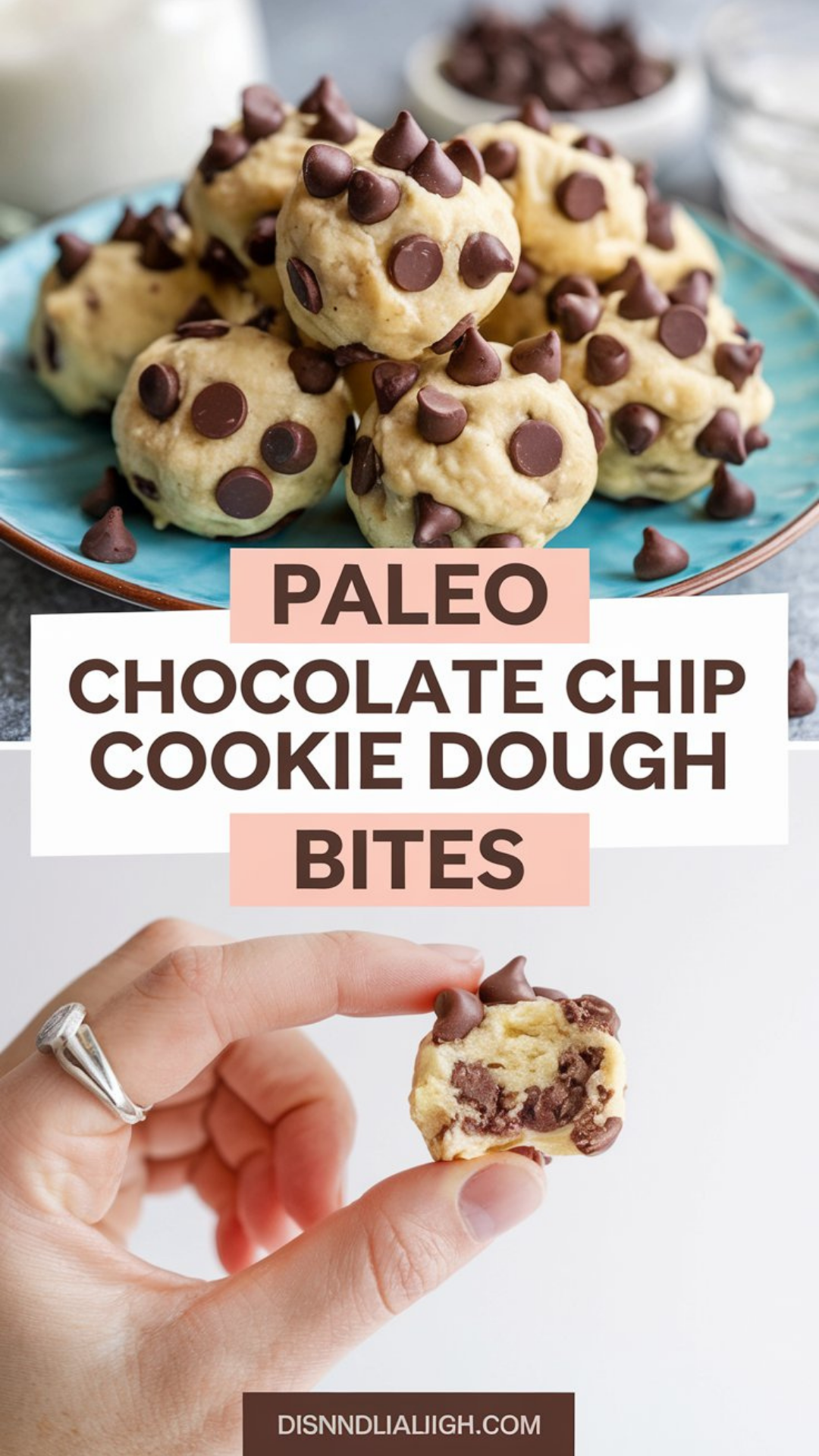 Paleo Chocolate Chip Cookie Dough Bites