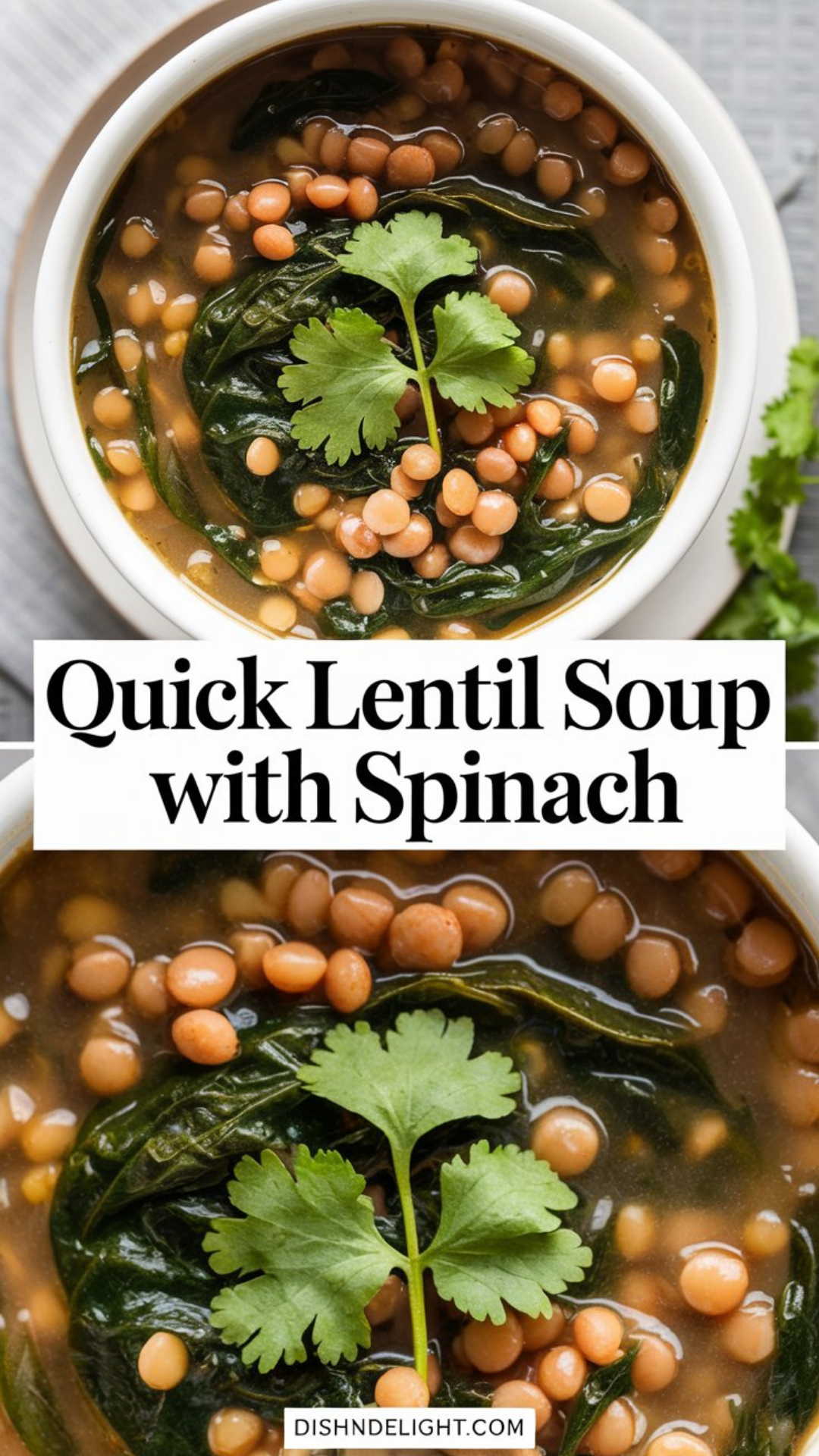 Quick Lentil Soup with Spinach
