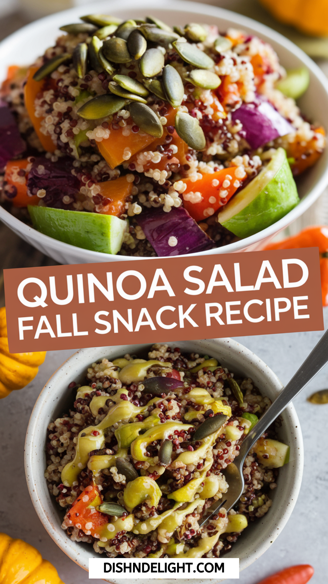 Quinoa Salad Fall Snack Recipe Quinoa Salad Fall Snack Recipe