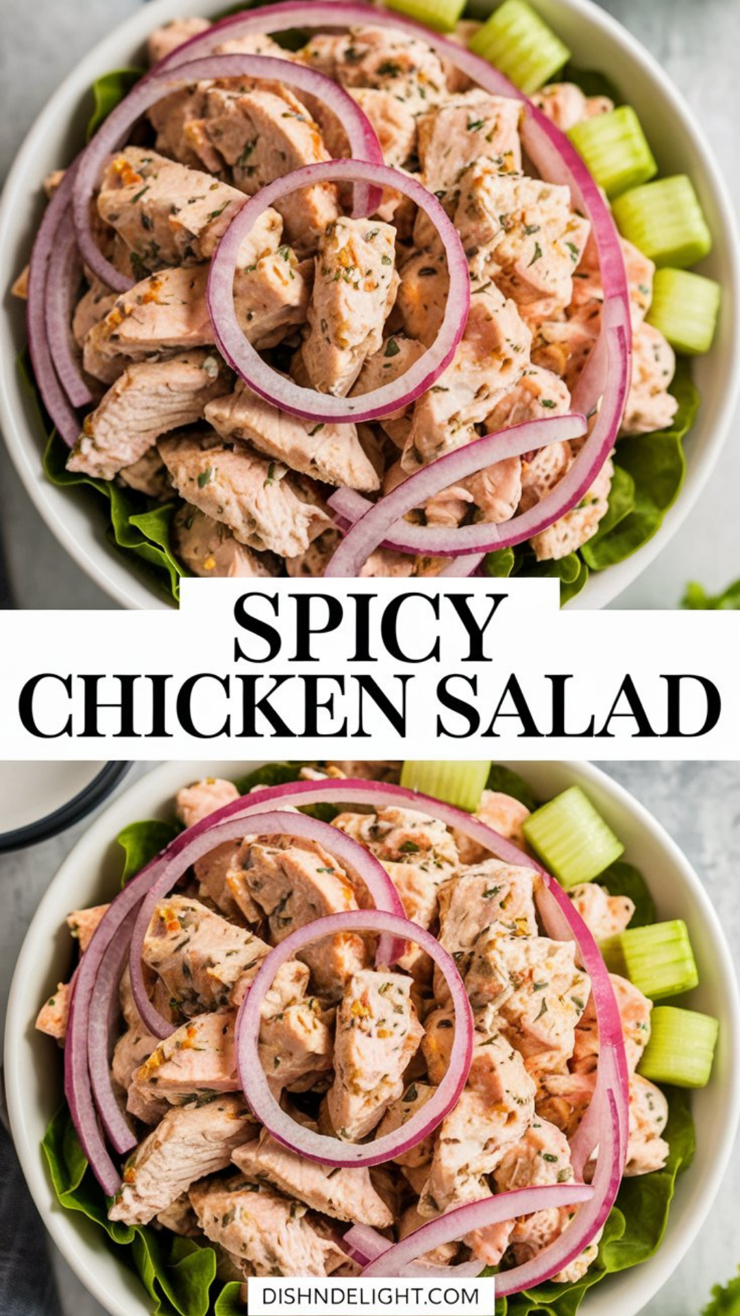 Spicy Chicken Salad Recipe Spicy Chicken Salad Recipe