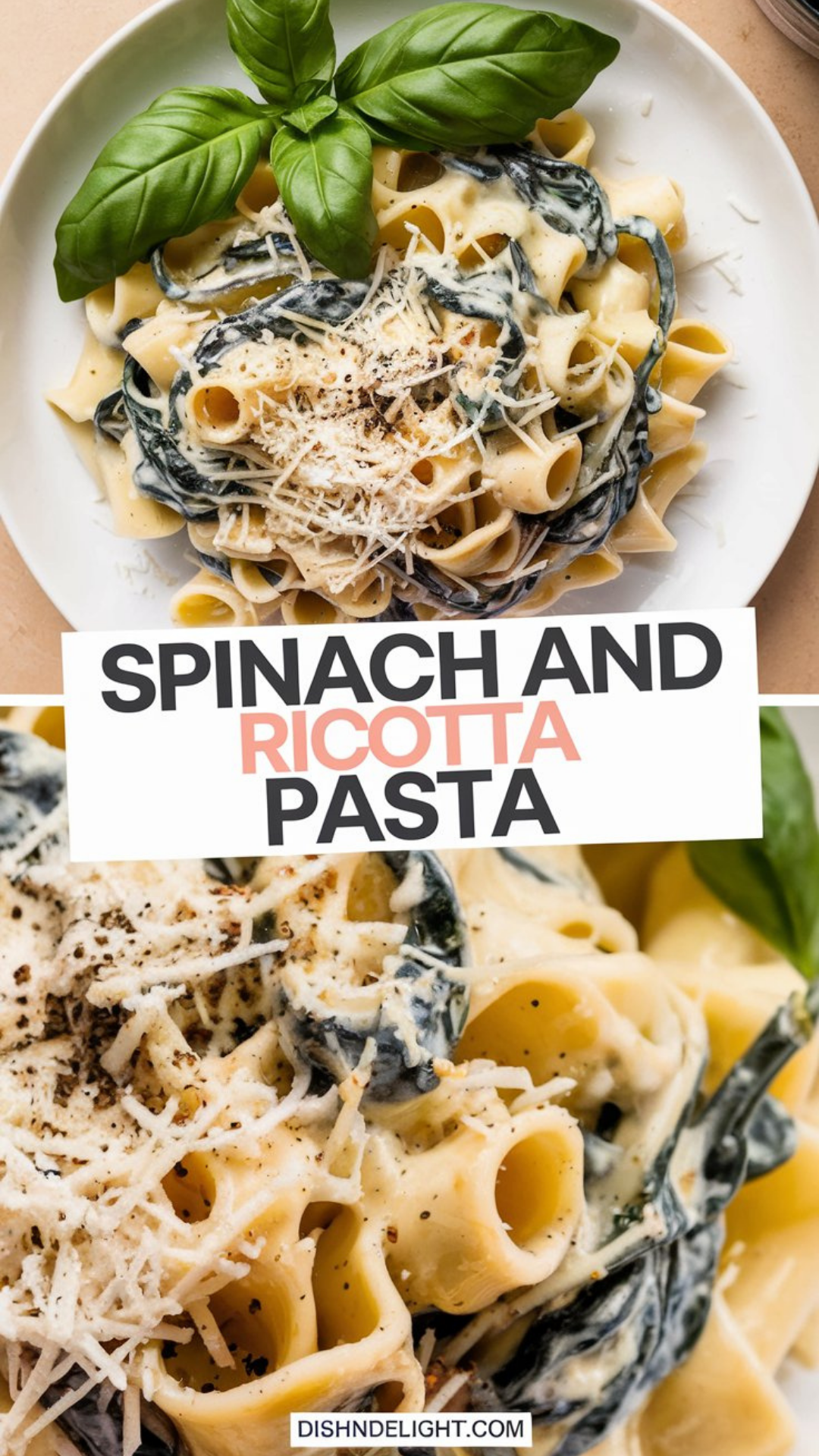Spinach and Ricotta Pasta Recipe