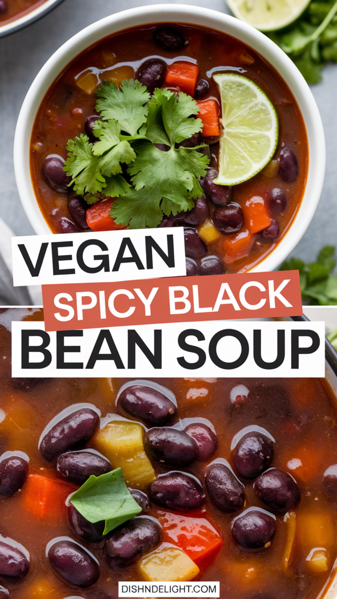 Vegan Spicy Black Bean Soup Vegan Spicy Black Bean Soup