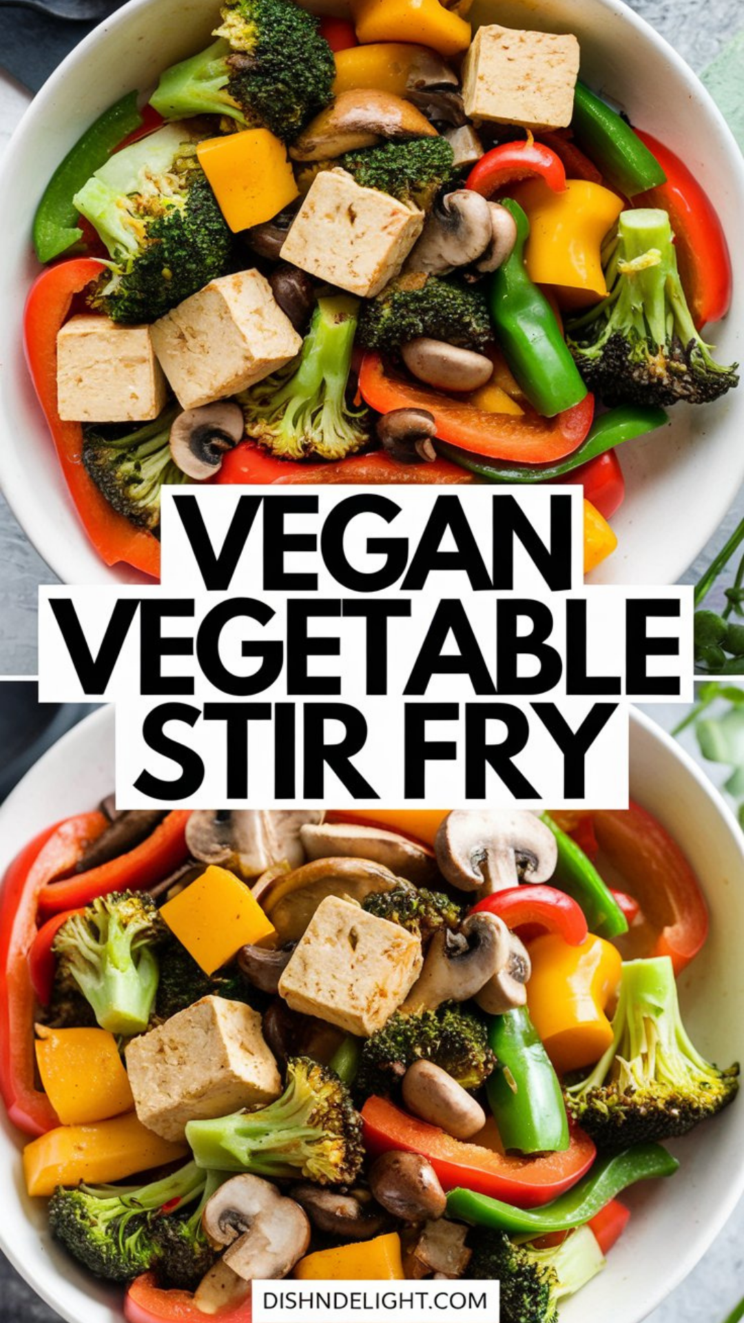 Vegan Vegetable Stir Fry Recipe