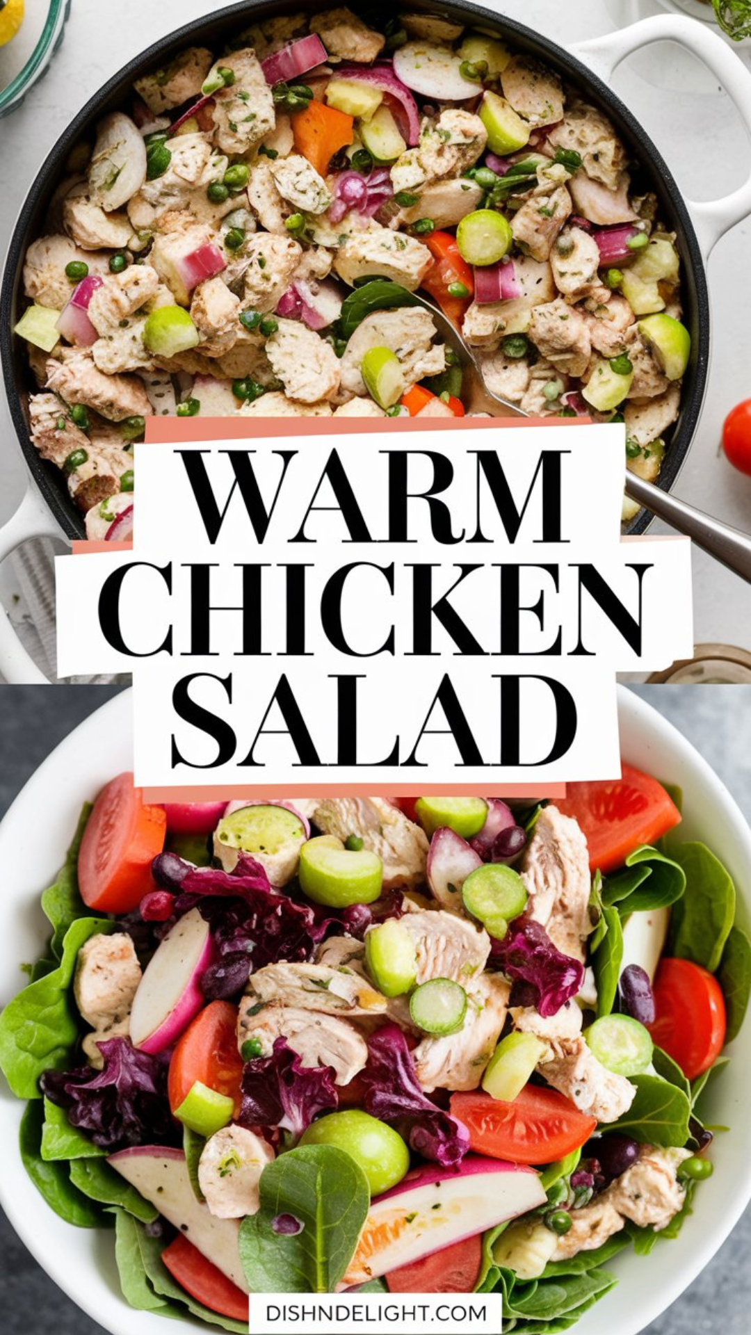 Warm Chicken Salad Recipe